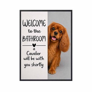 May include: A framed rectangular wall sign featuring a white left panel with black text that reads Welcome to the BATHROOM a Cavalier will be with you shortly and a right panel showing a brown Cavalier King Charles Spaniel dog with its tongue out.