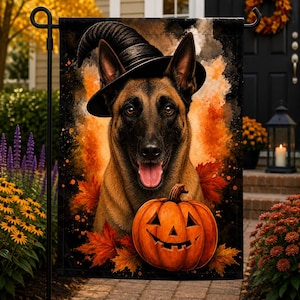 May include: A rectangular garden flag featuring a Belgian Malinois dog wearing a black witch hat. The dog is positioned above a carved orange jack-o'-lantern pumpkin, surrounded by vibrant red and orange autumn leaves against a dark background.