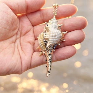 May include: A pendant necklace featuring a natural seashell with a textured, spiky surface, partially encased in a polished gold-tone metal frame. The shell displays cream and tan hues, accented by small blue stones, suspended from a delicate gold chain.