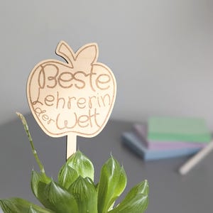 Op de afbeelding: Een houten appelvormige plantenstaak met de Duitse tekst "Beste Lehrerin der Welt" (Beste leraar ter wereld). De staak is lichtbruin en staat in een groene vetplant.