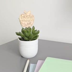 Op de afbeelding: Een kleine, groene vetplant in een witte keramische pot. Een houten appelvormig bord met de tekst "Beste Lehrerin der Welt" staat in de pot. De pot staat op een grijze ondergrond met een potlood en gekleurd papier.