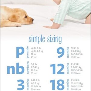 Może przedstawiać: Dziecko i szczeniak złotego labradora znajdują się na białej powierzchni. Obraz zawiera tabelę rozmiar&oacute;w ubranek dla dzieci firmy Carter's, z wymiarami w cm i kg. Tabela pokazuje rozmiary od wcześniaka do 24 miesięcy.