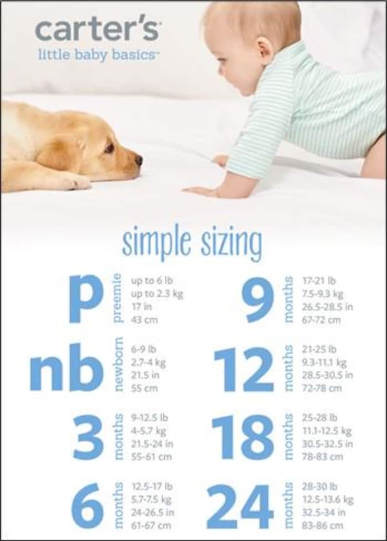 Może przedstawiać: Dziecko i szczeniak złotego labradora znajdują się na białej powierzchni. Obraz zawiera tabelę rozmiar&oacute;w ubranek dla dzieci firmy Carter's, z wymiarami w cm i kg. Tabela pokazuje rozmiary od wcześniaka do 24 miesięcy.