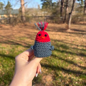 May include: A handmade crochet bird figurine with a red head, black eyes, and a gray body. The bird has a tuft of red and gray yarn on its head and small gray wings. The bird is held in a hand against a blurred outdoor background.