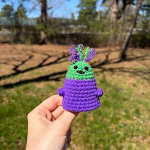 May include: A handmade crochet doll with a green head, purple body, and small arms. The doll has a smiling face and a tuft of green and purple yarn on top. The doll is held in front of a blurred outdoor background.