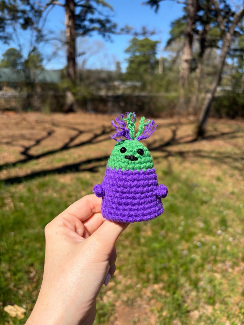 May include: A handmade crochet doll with a green head, purple body, and small arms. The doll has a smiling face and a tuft of green and purple yarn on top. The doll is held in front of a blurred outdoor background.