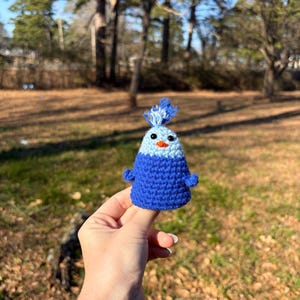 May include: A handmade crochet bird figurine in shades of blue, with a light blue head, a tuft of blue yarn, and small orange beak. The bird has tiny blue wings and is held in a hand against a blurred outdoor background.