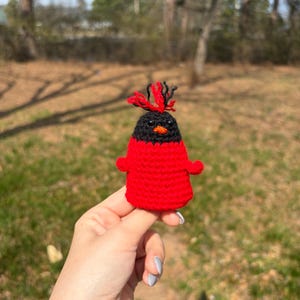 May include: A handmade crochet bird figurine. The bird has a red body, black head, and a small orange beak. The bird's head is adorned with red and black yarn. The figurine is held up against a blurred background of green grass and trees.