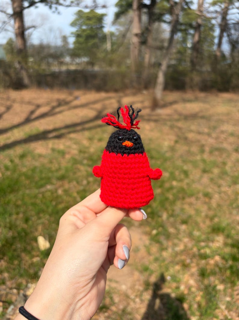 May include: A handmade crochet bird figurine. The bird has a red body, black head, and a small orange beak. The bird's head is adorned with red and black yarn. The figurine is held up against a blurred background of green grass and trees.
