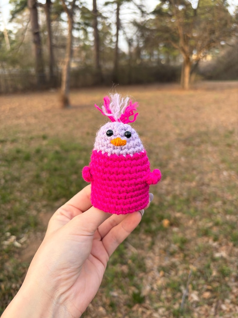 May include: A handmade crochet bird in bright pink, lavender, and white. The bird has small black eyes, an orange beak, and a tuft of pink and white yarn on its head. The bird is held in a hand against a blurred outdoor background.