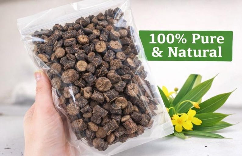 Black Musli Roots | Raw Indian Botanical Herb image 3
