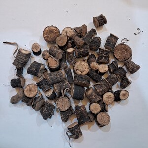 May include: A collection of dark brown, dried root pieces, varying in size and shape, scattered on a white surface. Some pieces are cylindrical, while others are irregular, with visible textures and cut ends. The overall color palette is earthy.