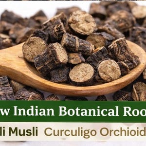 Black Musli Roots | Raw Indian Botanical Herb image 1