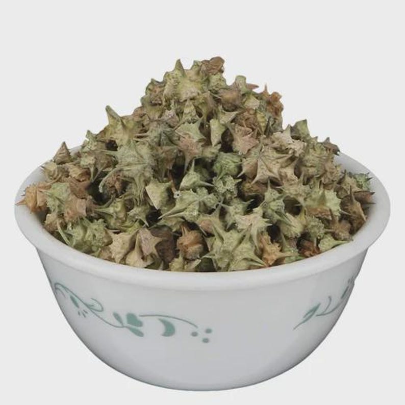 May include: A white ceramic bowl with a delicate green floral pattern filled with a large mound of dried, spiky, light green and brown Tribulus terrestris fruit. The small, star-shaped, thorny seed pods are piled high in the rounded bowl.