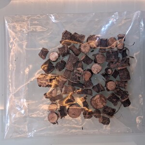 May include: A clear plastic bag filled with small, irregularly shaped pieces of dark brown wood. Some pieces appear to be cross-sections of branches, showing circular patterns. The wood pieces vary in size and shape, creating a textured appearance.