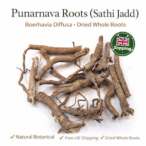 Racines de Punarnava (Sathi Jadd) | Boerhavia Diffusa | Racines entières séchées | Naturel botanique | Livraison gratuite au Royaume-Uni