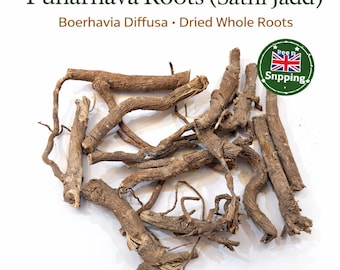 Punarnava Roots (Sathi Jadd) | Boerhavia Diffusa | Dried Whole Roots | Natural Botanical | Free UK Shipping