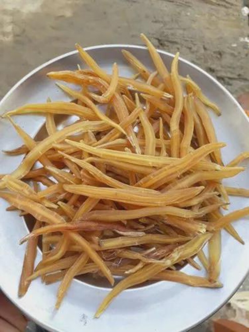 Safed Musli, Shatavari, White Kaunch Beej, Gokhru, Vidharikand, Black musli, Lajwanti seed Combo Pack image 3