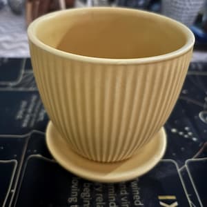 以下が含まれることがあります： 黄色のセラミック植木鉢。外側はリブ加工で、お揃いの受け皿が付いています。植木鉢は丸みを帯びた形状で、植物を入れるように設計されています。全体的なデザインはシンプルでエレガントです。