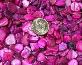 Shell Pink Fuchsia Purple Dyed Natural Shell Mosaic Supply C6