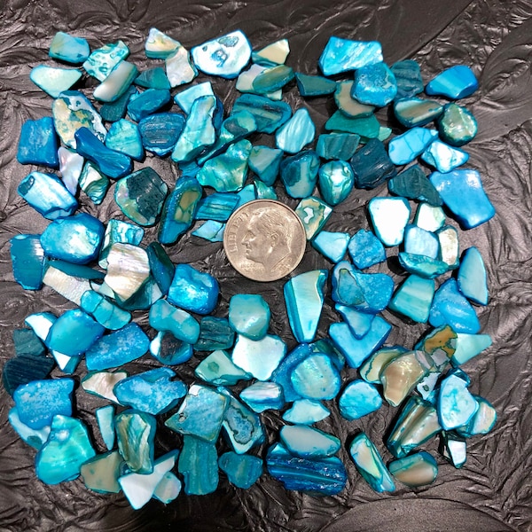 Shell Turquoise or Blue Aqua Dyed Natural Shell Mosaic Supply O3