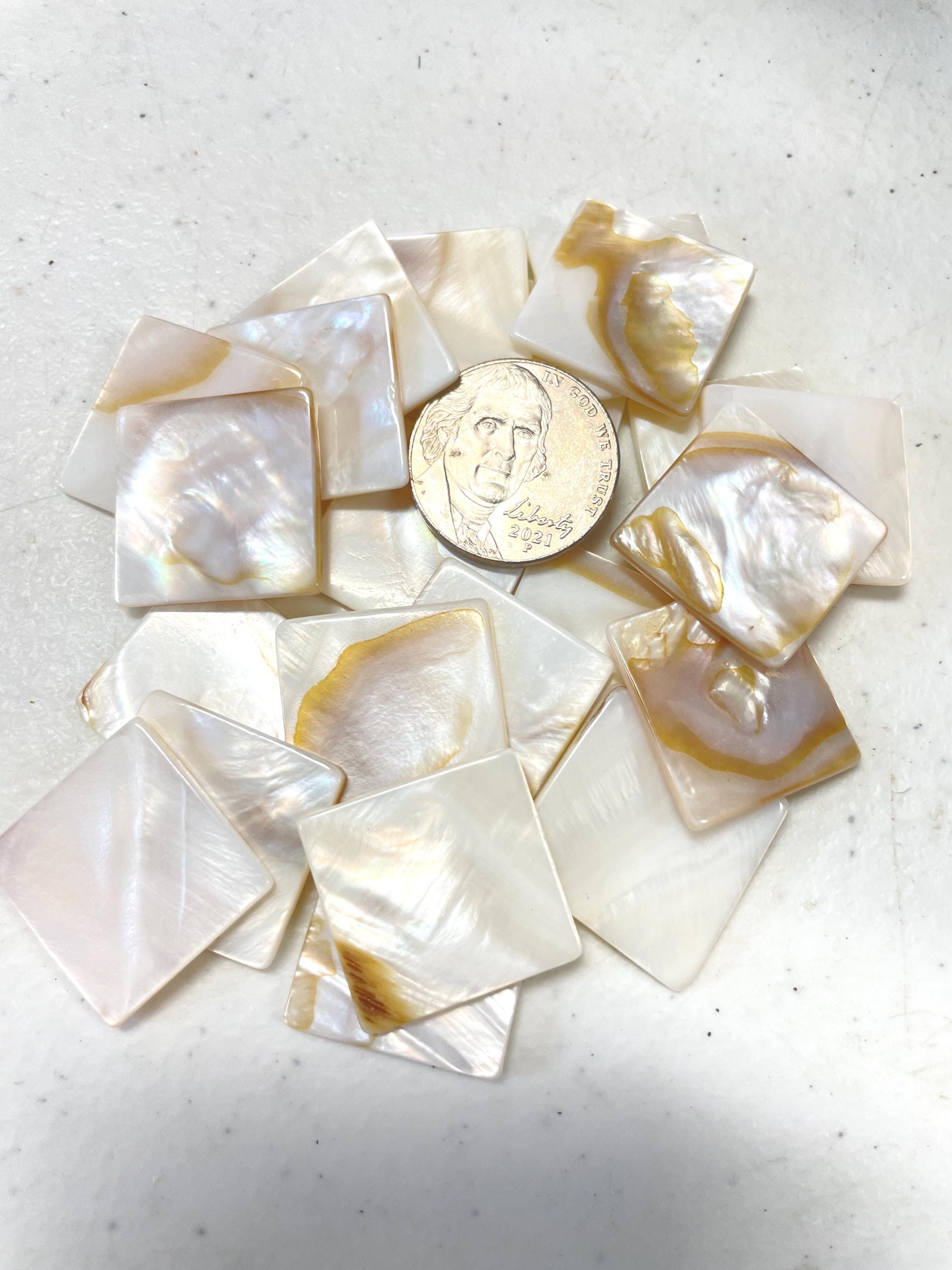 Squear Shell Good Square Shell Pieces Mother of Pearl Natural Shell Mosaic Supply C2 - Etsy