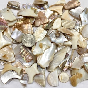 May include: A collection of iridescent white and brown mother of pearl shell pieces. The shells are various shapes and sizes, and some have a pearlescent sheen.