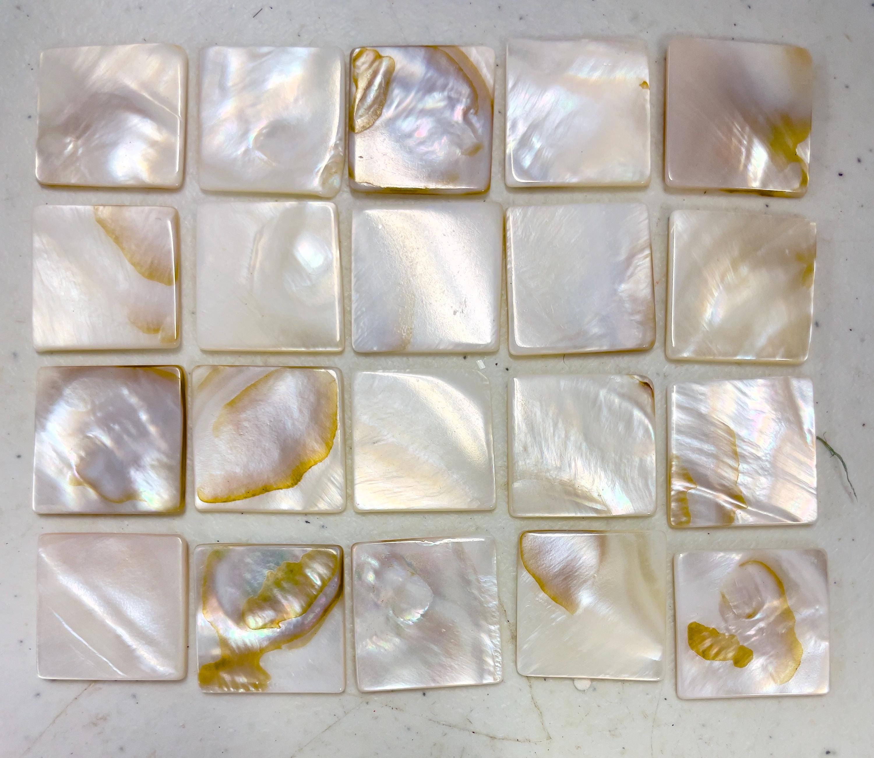 Square Shell Pieces Mother of Pearl Natural Shell Mosaic Supply C2 - Etsy