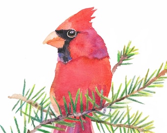 Red cardinal watercolor print, Christmas cardinal gift, bird lovers art,
