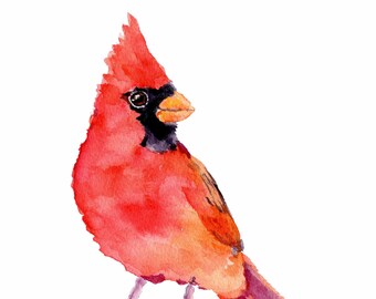 Cardinal Watercolor print, cardinal gifts, Cardinal painting, Bird prints, Cardinal decor, cardinal art print, housewarming gift, songbird