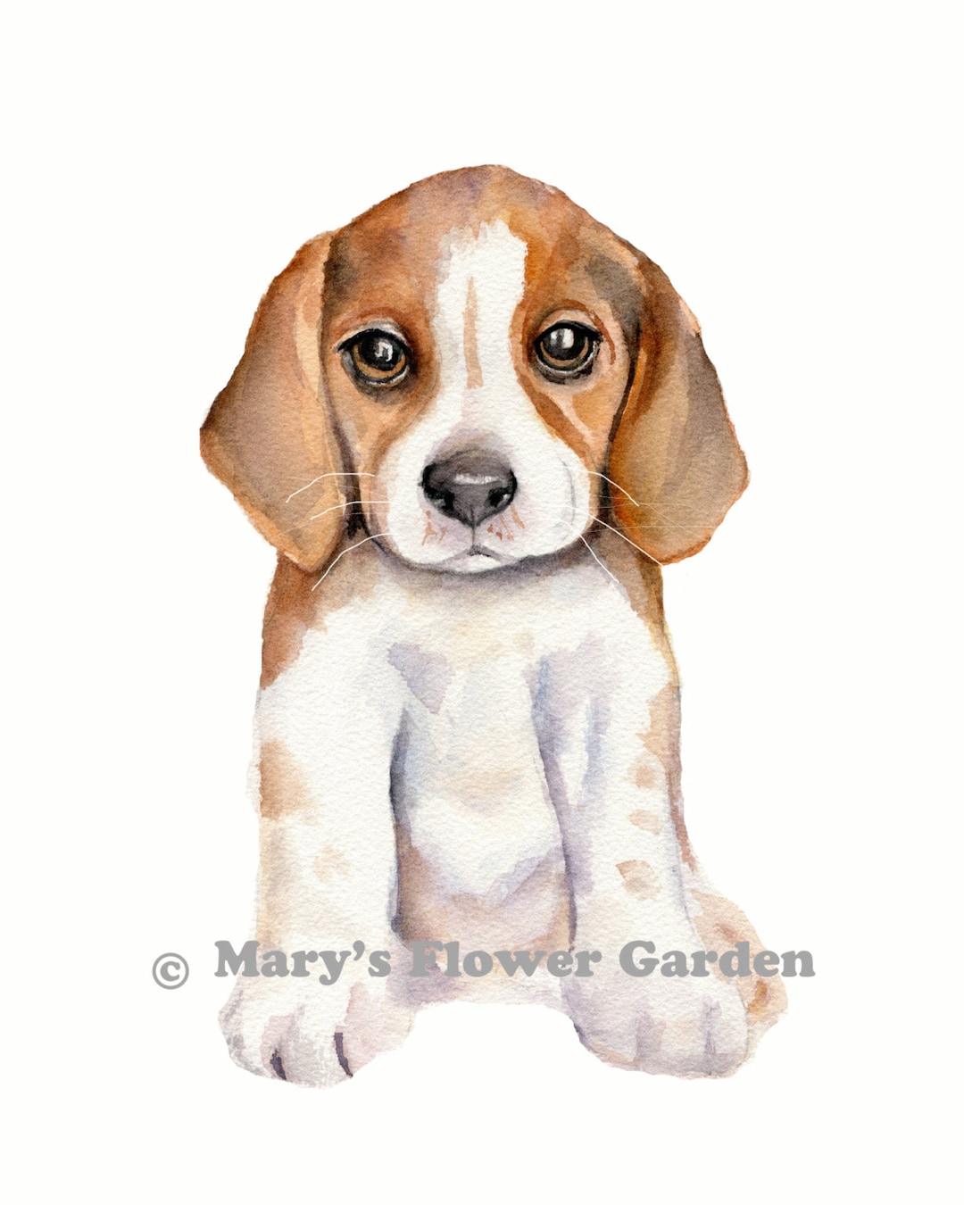 Beagle Watercolor Print, Puppy Painting, Dog Art Print, Dog Watercolor ...