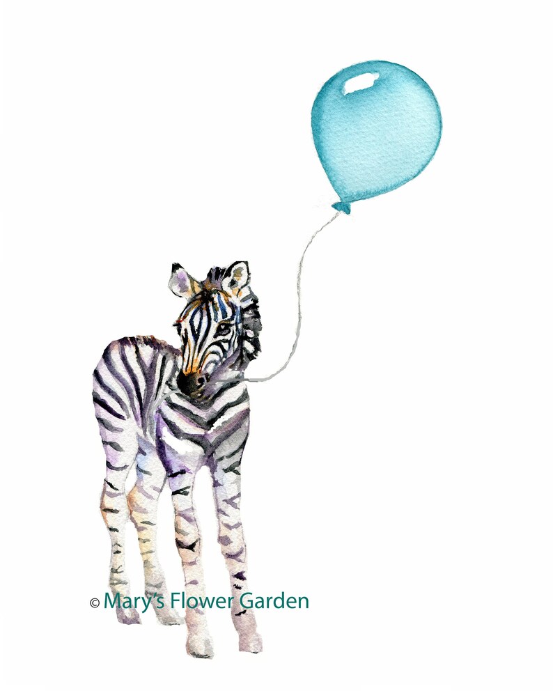 Peut inclure: Une peinture &agrave; l'aquarelle d'un poulain z&egrave;bre avec un ballon bleu attach&eacute; &agrave; sa patte. Le z&egrave;bre est debout sur un fond blanc. Le texte "Mary's Flower Garden" est en bas de l'image.