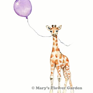 Op de afbeelding: Een aquarel schilderij van een giraffe met een paarse ballon. De giraffe staat op alle vier poten en kijkt naar de ballon. De ballon is vastgebonden aan de nek van de giraffe met een touwtje.