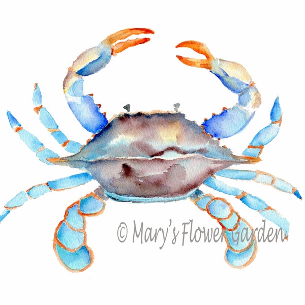 Blue Crab Watercolor-crab art, Sea Life Art, beach house decor, crab print, watercolor painting, Maryland Blue Crab, Blue Crab painting