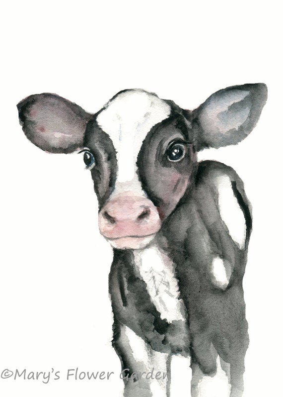 Calf Watercolor Print Calf Painting Cow Nursery Art Black Etsy