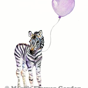 Op de afbeelding: Een aquarel schilderij van een zebra met een paarse ballon. De zebra staat op alle vier poten en kijkt naar de ballon. De achtergrond is wit.