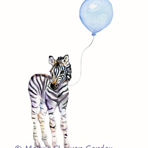 May include: A watercolor painting of a baby zebra with a blue balloon. The zebra is standing on all fours and looking to the side. The balloon is tied to the zebra's tail.