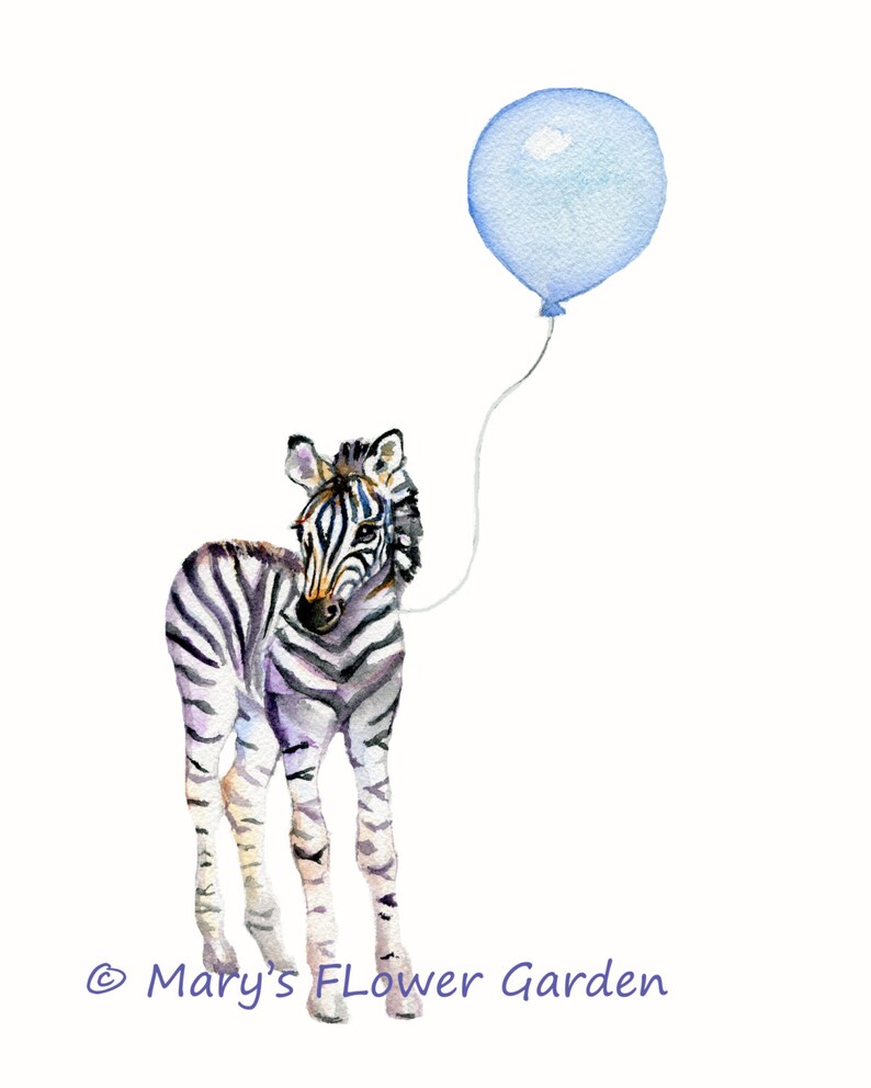 May include: A watercolor painting of a baby zebra with a blue balloon. The zebra is standing on all fours and looking to the side. The balloon is tied to the zebra's tail.