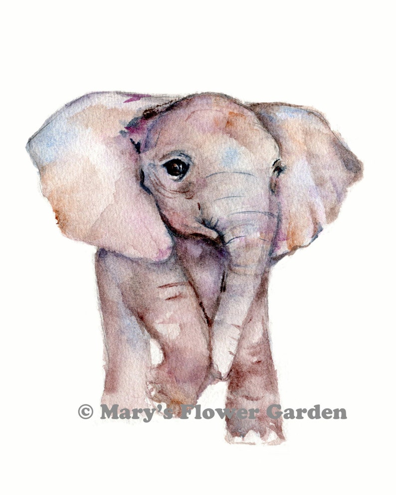 Elephant Baby Art Elephant Nursery Print Elephant Decor Etsy