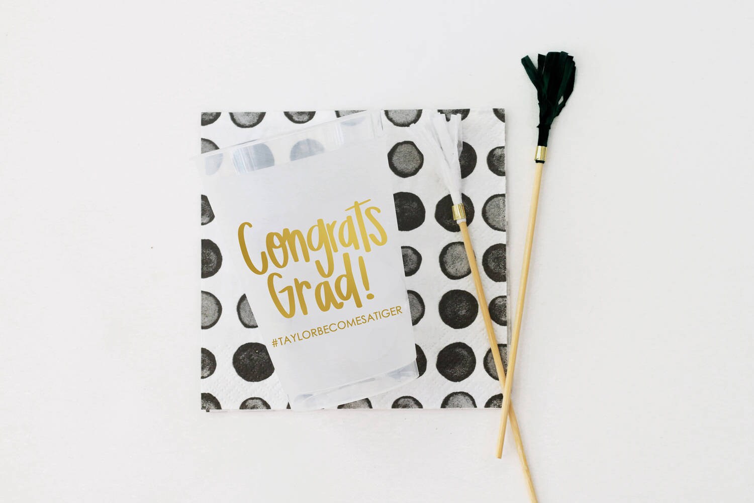 Kiss This Class Good-Bye Graduation Party Cups – Preppy Mama
