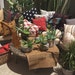 Green Eyes Decor