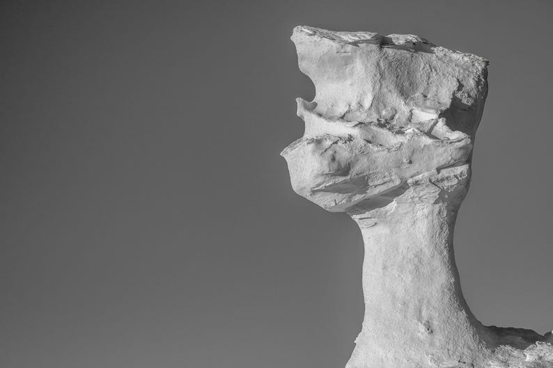 May include: A black and white photograph of a white rock formation against a gray sky. The rock has a unique shape, resembling a head or a sculpture, with a textured surface and a slender neck.