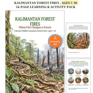 Könnte beinhalten: Ein 14-seitiges PDF-Lern- und Aktivitätspaket mit dem Titel Kalimantan Forest Fires: When Fire Changes a Forest. Das Cover zeigt eine große Schlange in einem Wald mit Rauch und Feuer im Hintergrund. Enthält Innenseiten mit Text und Illustrationen.