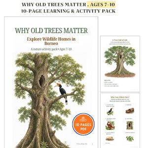 May include: A 10-page PDF learning and activity pack titled Why Old Trees Matter: Explore Wildlife Homes in Borneo for ages 7-10. The cover features a large tree with a hornbill bird, while additional pages show tree illustrations and wildlife.