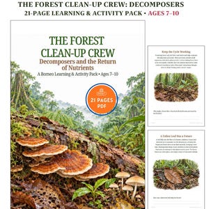 Może przedstawiać: 21-stronicowy pakiet edukacyjny i ćwiczeniowy w formacie PDF zatytułowany The Forest Clean-Up Crew: Decomposers and the Return of Nutrients. Okładka przedstawia dno lasu z brązowymi grzybami nadrzewnymi i małymi białymi grzybami.