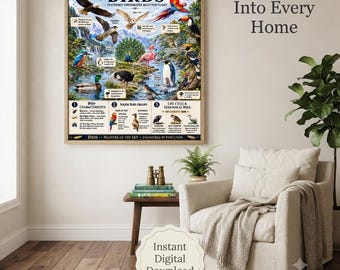 Birds Educational Poster | Scientific Classification Chart, Homeschool Wall Art (A4 PDF Download)