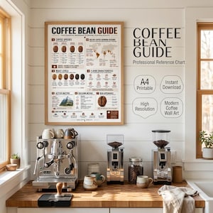 Peut inclure: Une affiche murale encadrée intitulée Coffee Bean Guide présentant des sections sur les espèces, les régions, les niveaux de torréfaction et les saveurs. Le tableau inclut du texte, des icônes et des schémas. Une machine à espresso et deux moulins.