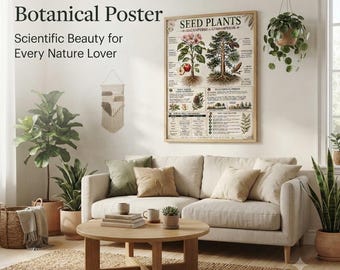 Seed Plants Poster | Angiosperms Gymnosperms Botanical Art (A4 Download)