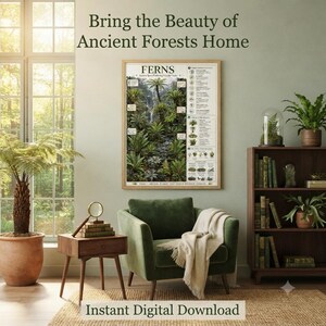 Ferns Educational Poster | Fern Classification Chart | Botanical Wall Art | Printable Plant Science Poster | A4 PDF