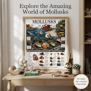 May include: A framed educational poster titled Explore the Amazing World of Mollusks, featuring detailed illustrations of various sea creatures, their characteristics, and life cycles, displayed on a wooden desk with a shell and a microscope.